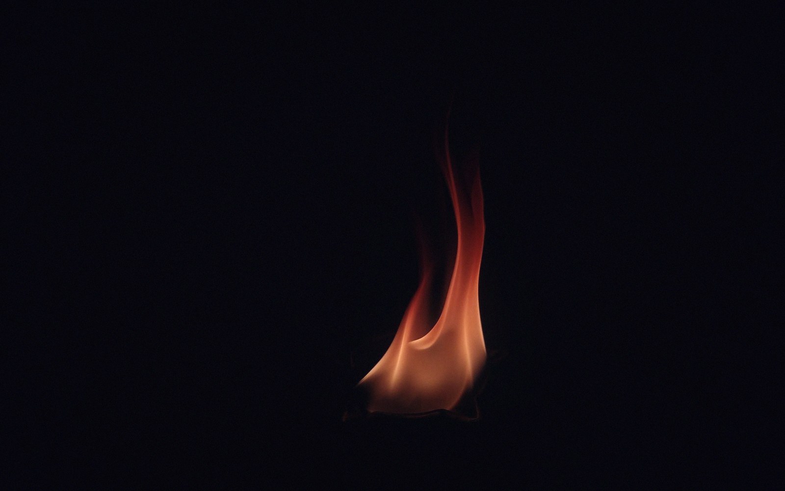 A single flame flickers against complete darkness